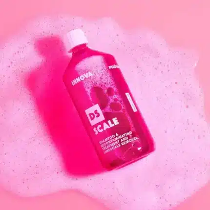 Innovacar DS SCALE Shampoo 1000ML 2