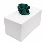 Hartley DISPENSER DOOS 50 X MICROVEZELDOEKEN GROEN